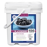 Freeze-Dried Blackberries (156 Servings)