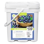 Freeze Dried Blueberries (132 Servings)